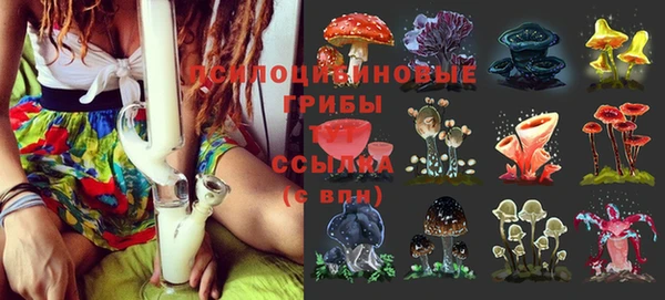 кокс Семёнов